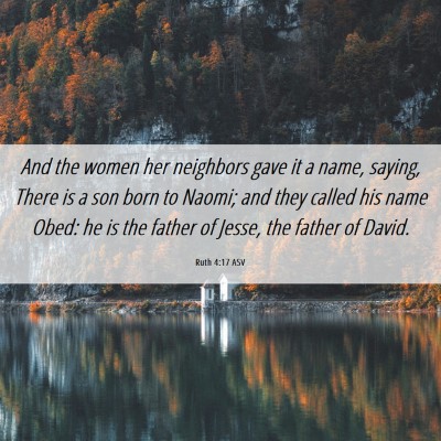 Picture 06 - Ruth 4:17 ASV - And the women her neighbors gave it a name, - Bible Verse Picture