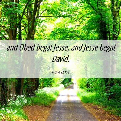 Picture 06 - Ruth 4:22 ASV - and Obed begat Jesse, and Jesse begat - Bible Verse Picture