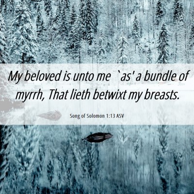 Picture 06 - Song of Solomon 1:13 ASV - My beloved is unto me `as' a bundle of myrrh, - Bible Verse Picture