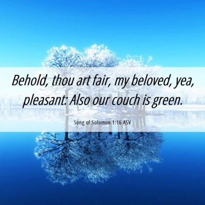 Picture 06 - Song of Solomon 1:16 ASV - Behold, thou art fair, my beloved, yea, pleasant: - Bible Verse Picture