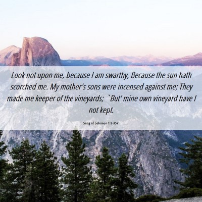 Picture 06 - Song of Solomon 1:6 ASV - Look not upon me, because I am swarthy, Because - Bible Verse Picture
