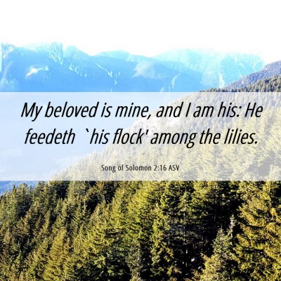 Picture 06 - Song of Solomon 2:16 ASV - My beloved is mine, and I am his: He feedeth `his - Bible Verse Picture
