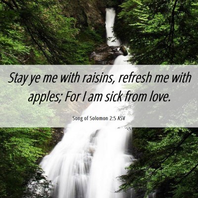 Picture 06 - Song of Solomon 2:5 ASV - Stay ye me with raisins, refresh me with apples; - Bible Verse Picture