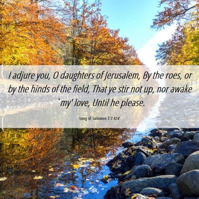 Picture 06 - Song of Solomon 2:7 ASV - I adjure you, O daughters of Jerusalem, By the - Bible Verse Picture