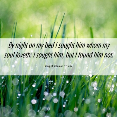 Picture 06 - Song of Solomon 3:1 ASV - By night on my bed I sought him whom my soul - Bible Verse Picture