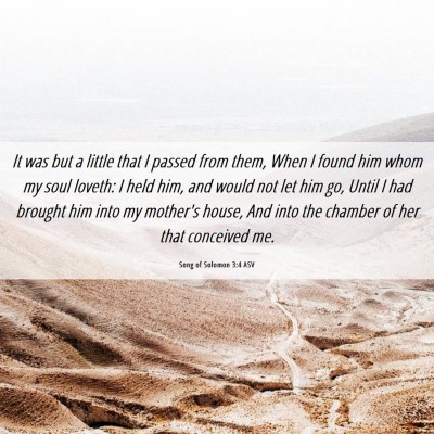 Picture 06 - Song of Solomon 3:4 ASV - It was but a little that I passed from them, When - Bible Verse Picture