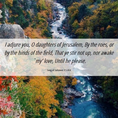 Picture 06 - Song of Solomon 3:5 ASV - I adjure you, O daughters of Jerusalem, By the - Bible Verse Picture
