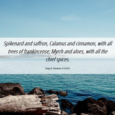 Picture 06 - Song of Solomon 4:14 ASV - Spikenard and saffron, Calamus and cinnamon, with - Bible Verse Picture