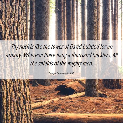 Picture 06 - Song of Solomon 4:4 ASV - Thy neck is like the tower of David builded for - Bible Verse Picture