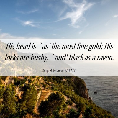 Picture 06 - Song of Solomon 5:11 ASV - His head is `as' the most fine gold; His locks - Bible Verse Picture
