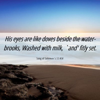 Picture 06 - Song of Solomon 5:12 ASV - His eyes are like doves beside the water-brooks, - Bible Verse Picture