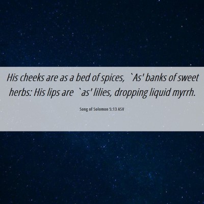 Picture 06 - Song of Solomon 5:13 ASV - His cheeks are as a bed of spices, `As' banks of - Bible Verse Picture