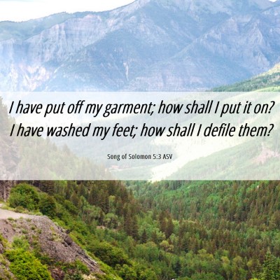 Picture 06 - Song of Solomon 5:3 ASV - I have put off my garment; how shall I put it on? - Bible Verse Picture