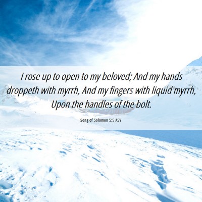 Picture 06 - Song of Solomon 5:5 ASV - I rose up to open to my beloved; And my hands - Bible Verse Picture