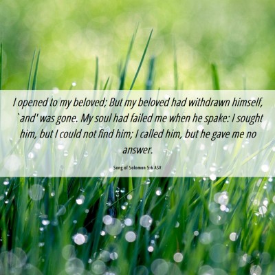 Picture 06 - Song of Solomon 5:6 ASV - I opened to my beloved; But my beloved had - Bible Verse Picture
