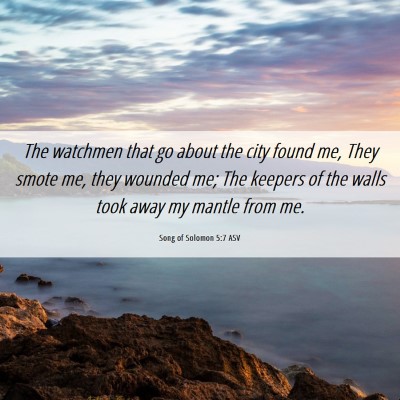 Picture 06 - Song of Solomon 5:7 ASV - The watchmen that go about the city found me, - Bible Verse Picture
