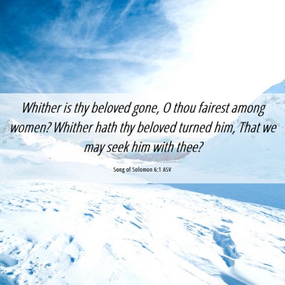 Picture 06 - Song of Solomon 6:1 ASV - Whither is thy beloved gone, O thou fairest among - Bible Verse Picture