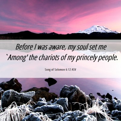Picture 06 - Song of Solomon 6:12 ASV - Before I was aware, my soul set me `Among' the - Bible Verse Picture