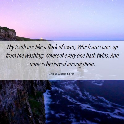 Picture 06 - Song of Solomon 6:6 ASV - Thy teeth are like a flock of ewes, Which are - Bible Verse Picture