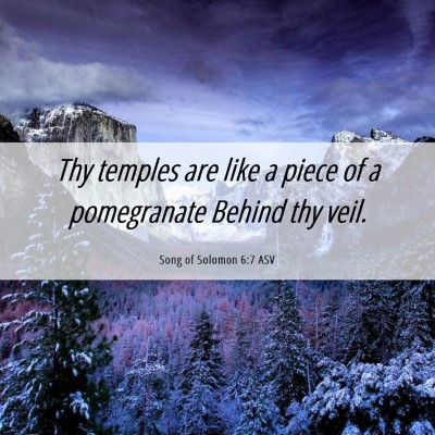 Picture 06 - Song of Solomon 6:7 ASV - Thy temples are like a piece of a pomegranate - Bible Verse Picture