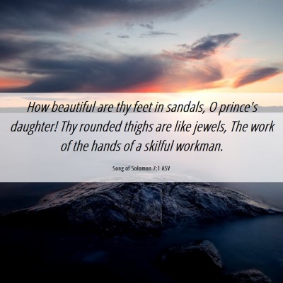 Picture 06 - Song of Solomon 7:1 ASV - How beautiful are thy feet in sandals, O prince's - Bible Verse Picture