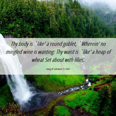 Picture 06 - Song of Solomon 7:2 ASV - Thy body is `like' a round goblet, `Wherein' no - Bible Verse Picture
