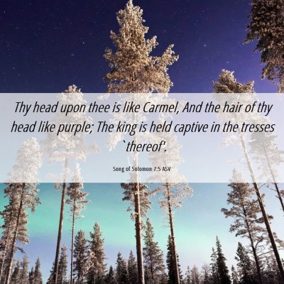 Picture 06 - Song of Solomon 7:5 ASV - Thy head upon thee is like Carmel, And the hair - Bible Verse Picture