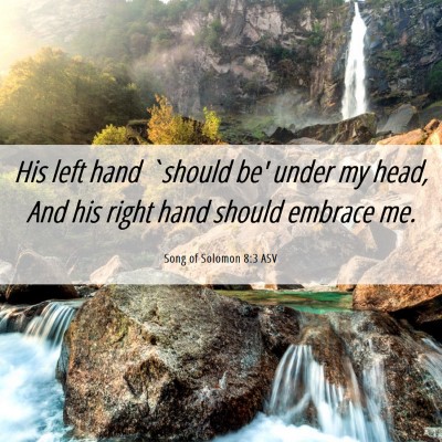 Picture 06 - Song of Solomon 8:3 ASV - His left hand `should be' under my head, And his - Bible Verse Picture