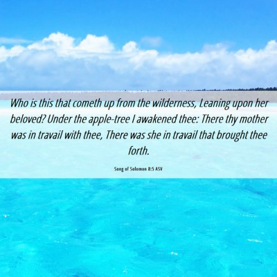 Picture 06 - Song of Solomon 8:5 ASV - Who is this that cometh up from the wilderness, - Bible Verse Picture