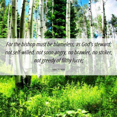 Picture 06 - Titus 1:7 ASV - For the bishop must be blameless, as God's - Bible Verse Picture