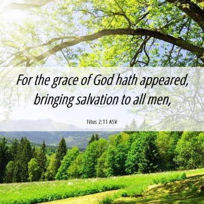 Picture 06 - Titus 2:11 ASV - For the grace of God hath appeared, bringing - Bible Verse Picture