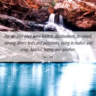 Picture 06 - Titus 3:3 ASV - For we also once were foolish, disobedient, - Bible Verse Picture