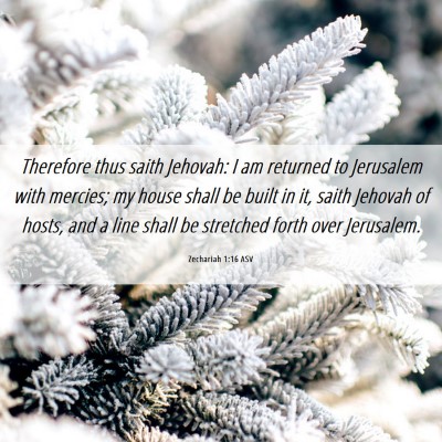 Picture 06 - Zechariah 1:16 ASV - Therefore thus saith Jehovah: I am returned to - Bible Verse Picture