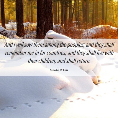 Picture 06 - Zechariah 10:9 ASV - And I will sow them among the peoples; and they - Bible Verse Picture