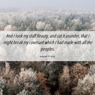 Picture 06 - Zechariah 11:10 ASV - And I took my staff Beauty, and cut it asunder, - Bible Verse Picture
