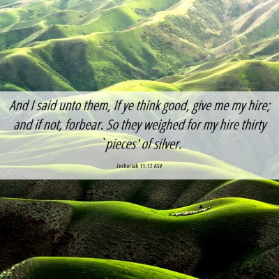 Picture 06 - Zechariah 11:12 ASV - And I said unto them, If ye think good, give me - Bible Verse Picture