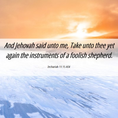 Picture 06 - Zechariah 11:15 ASV - And Jehovah said unto me, Take unto thee yet - Bible Verse Picture