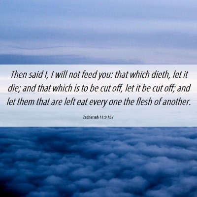 Picture 06 - Zechariah 11:9 ASV - Then said I, I will not feed you: that which - Bible Verse Picture