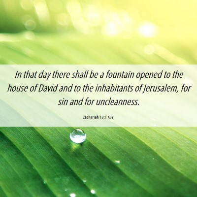 Picture 06 - Zechariah 13:1 ASV - In that day there shall be a fountain opened to - Bible Verse Picture
