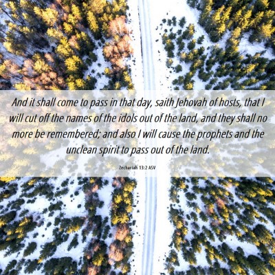 Picture 06 - Zechariah 13:2 ASV - And it shall come to pass in that day, saith - Bible Verse Picture
