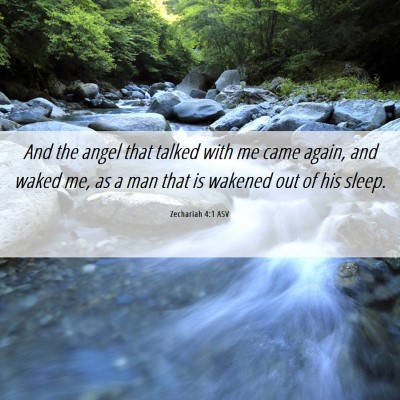 Picture 06 - Zechariah 4:1 ASV - And the angel that talked with me came again, and - Bible Verse Picture