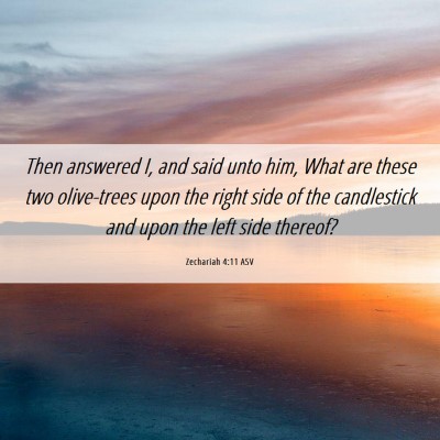 Picture 06 - Zechariah 4:11 ASV - Then answered I, and said unto him, What are - Bible Verse Picture