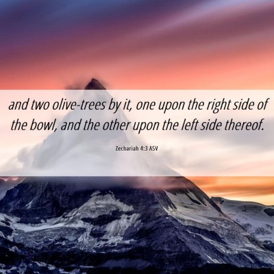 Picture 06 - Zechariah 4:3 ASV - and two olive-trees by it, one upon the right - Bible Verse Picture