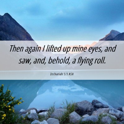 Picture 06 - Zechariah 5:1 ASV - Then again I lifted up mine eyes, and saw, and, - Bible Verse Picture