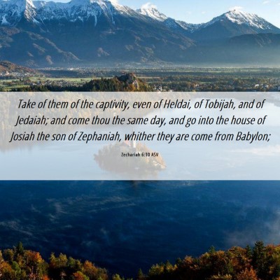 Picture 06 - Zechariah 6:10 ASV - Take of them of the captivity, even of Heldai, of - Bible Verse Picture