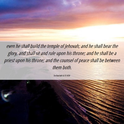 Picture 06 - Zechariah 6:13 ASV - even he shall build the temple of Jehovah; and he - Bible Verse Picture