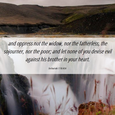 Picture 06 - Zechariah 7:10 ASV - and oppress not the widow, nor the fatherless, - Bible Verse Picture