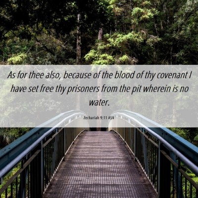 Picture 06 - Zechariah 9:11 ASV - As for thee also, because of the blood of thy - Bible Verse Picture