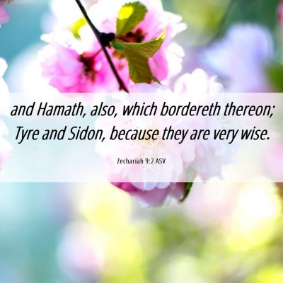 Picture 06 - Zechariah 9:2 ASV - and Hamath, also, which bordereth thereon; Tyre - Bible Verse Picture