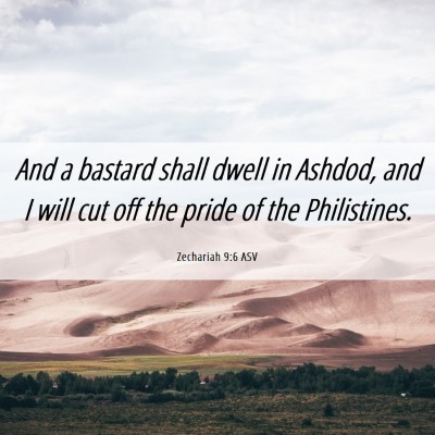 Picture 06 - Zechariah 9:6 ASV - And a bastard shall dwell in Ashdod, and I will - Bible Verse Picture